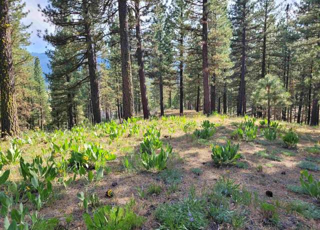 Property at 221 Cayden Dr, Clio, CA 96106