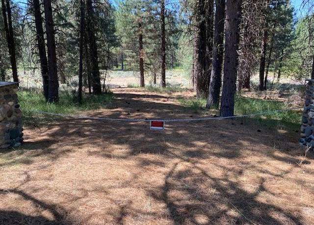 Property at 1116 Little Bear Rd, Blairsden, CA 96103