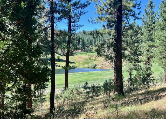 Property at 241 Fox Sparrow Dr, Portola, CA 96122