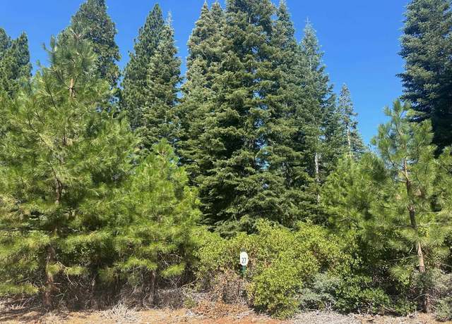 Property at 108 Silver Pine Rd, Lake Almanor, CA 96137