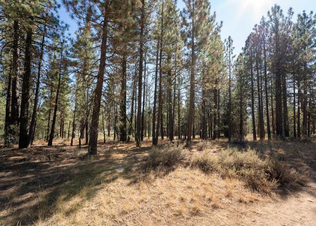 Property at 815 Second St, Portola, CA 96122
