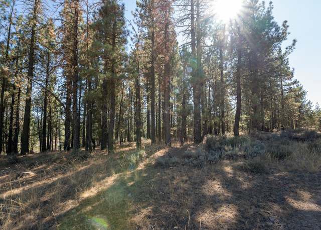 Property at 813 Second St, Portola, CA 96122