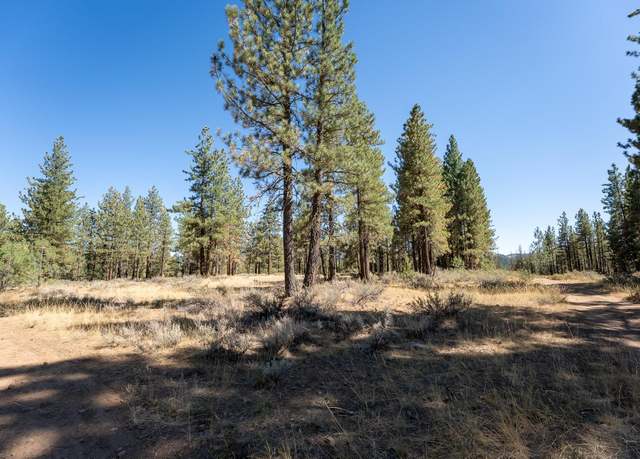 Property at 167 Cougar Way, Portola, CA 96122