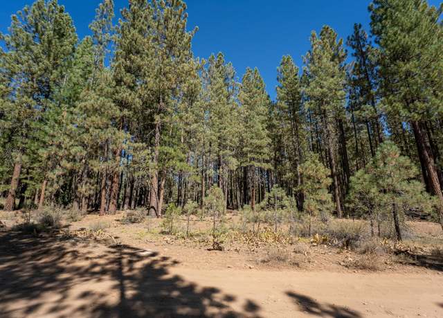 Property at 167 Bear Way, Portola, CA 96122