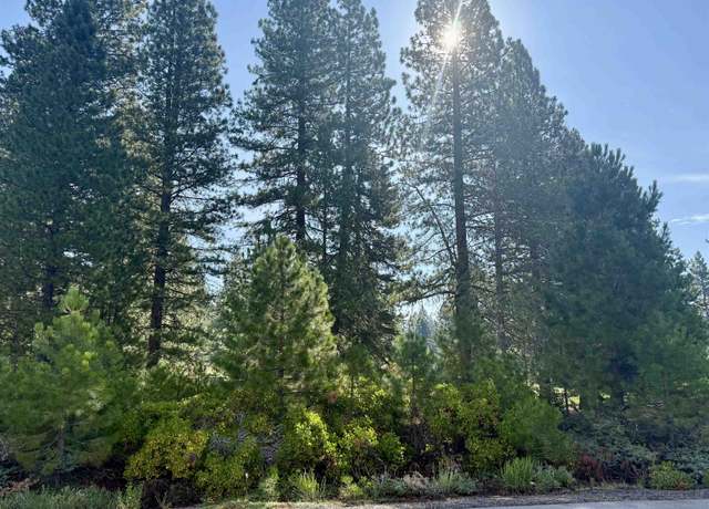 Property at 45 Frostwood Ln, Lake Almanor, CA 96137