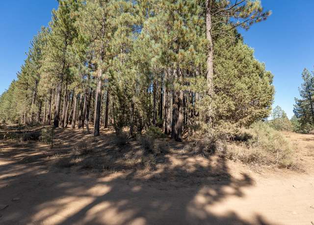 Property at 151 Grizzly Way, Portola, CA 96122