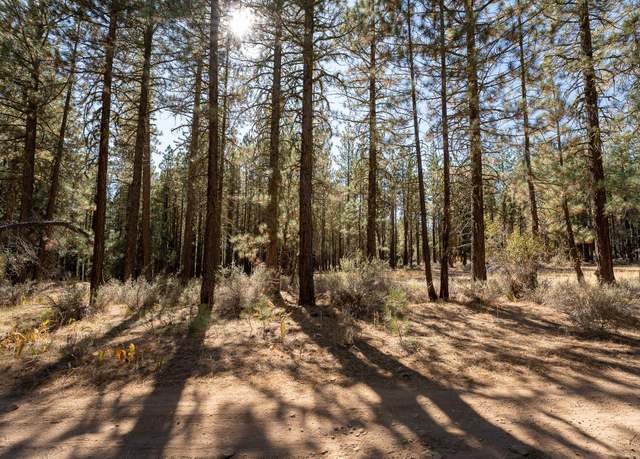 Property at 913 Third St, Portola, CA 96122