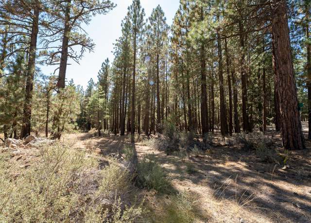 Property at 900 Third St, Portola, CA 96122