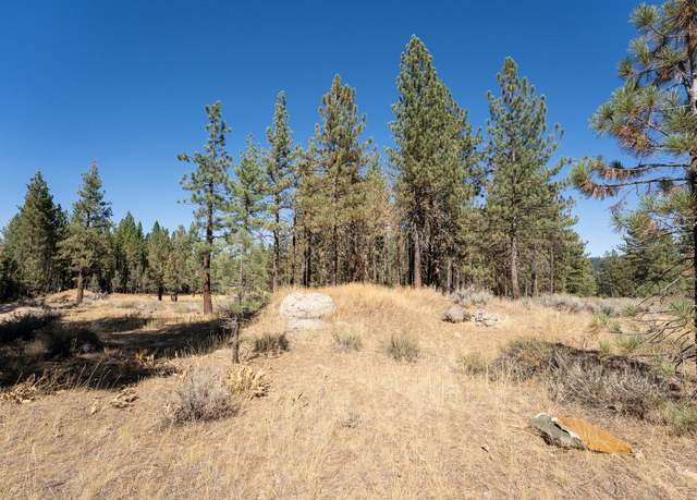 Property at 215 Cougar Way, Portola, CA 96122