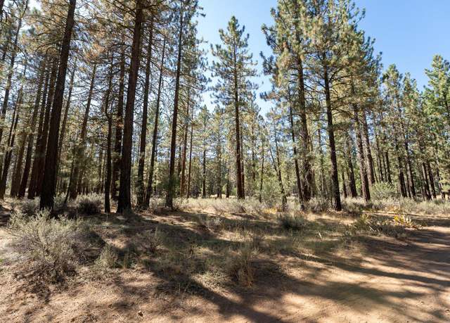 Property at 225 Cougar Way, Portola, CA 96122