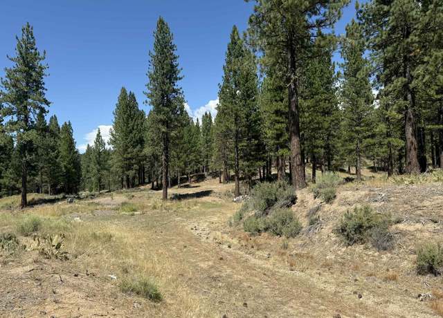 Property at 1359 Valley Ranch Dr, Clio, CA 96106