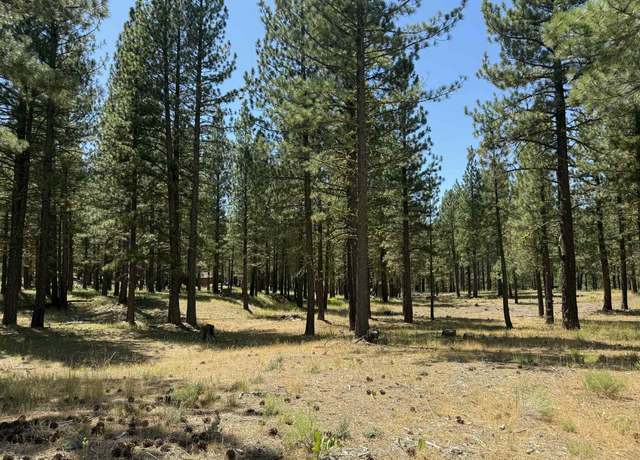 Property at 1269 Valley Ranch Dr, Clio, CA 96103
