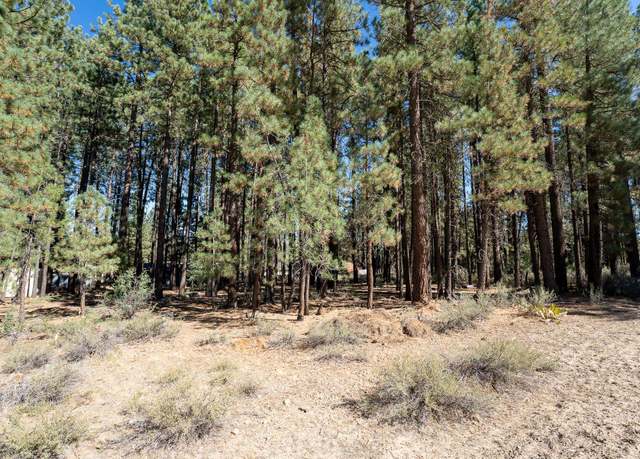 Property at 149 Otter Way, Portola, CA 96122