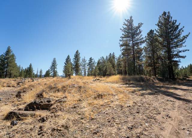 Property at 156 Cougar Way, Portola, CA 96122