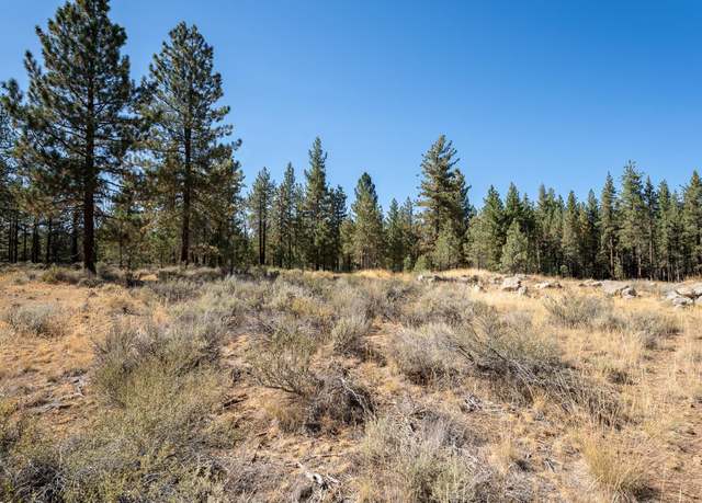 Property at 152 Otter Way, Portola, CA 96122