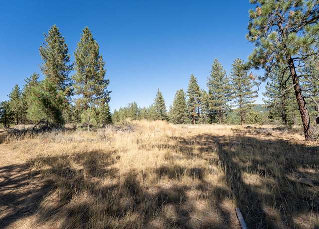 Property at 202 Otter Way, Portola, CA 96122