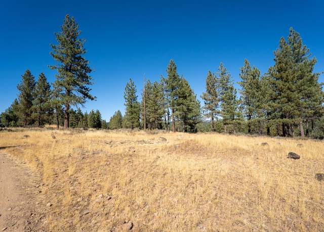 Property at 212 Otter Way, Portola, CA 96122
