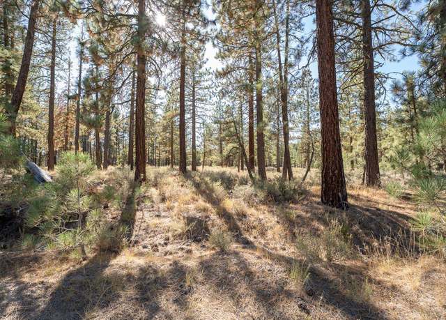 Property at 184 Grizzly Way, Portola, CA 96122