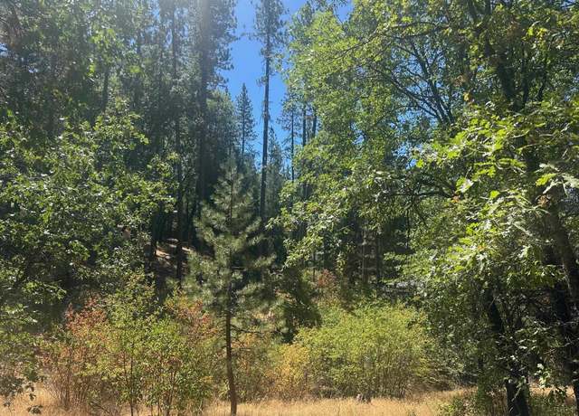 Property at 90 Pine Oak Ln, Quincy, CA 95971