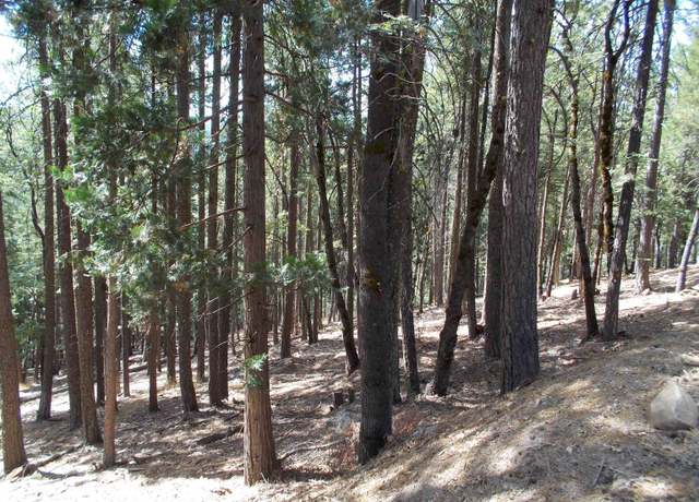 Property at 2053 Buckhorn Cir, Quincy, CA 95971