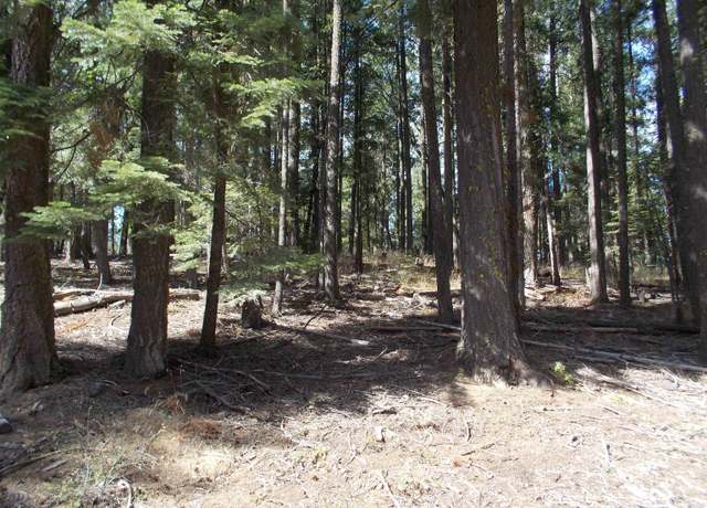 Property at 2480 Fern Ridge Ln, Quincy, CA 95971