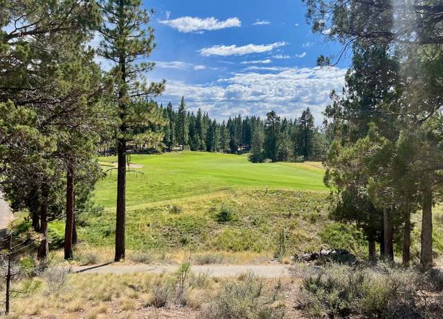 Property at 136 Fox Run, Portola, CA 96122