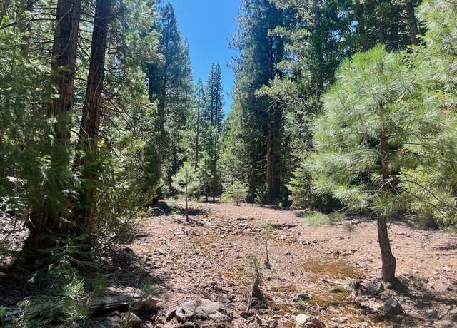 Property at 1701 Knobcone Trl, Johnsville, CA 96103