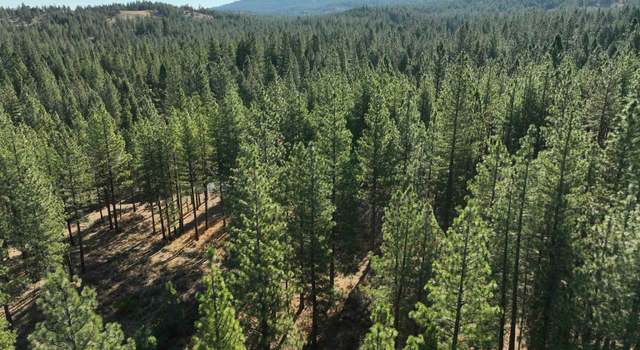 Photo of 1396 Eagle Feather, Portola, CA 96122