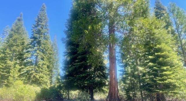 Photo of 231 Fox Crest Dr, Lake Almanor, CA 96137