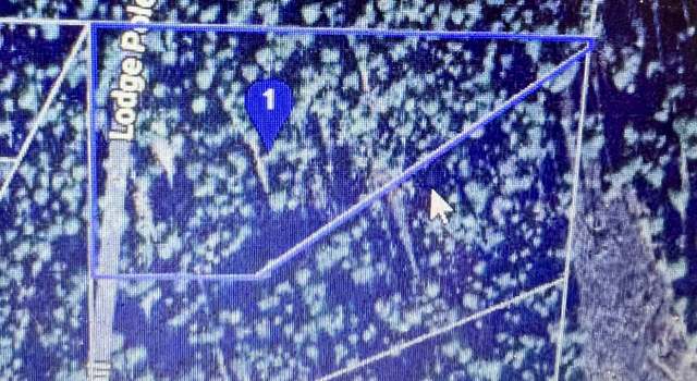 Photo of 2200 Lodgepole Trl, Johnsville, CA 96103
