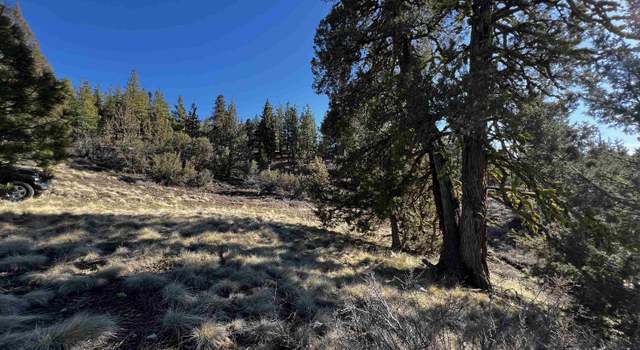Photo of 22 Clouds Rst, Portola, CA 96122
