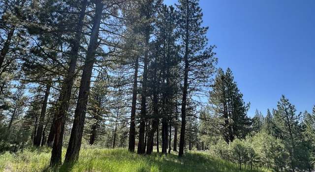 Photo of 459 Paintbrush, Portola, CA 96122
