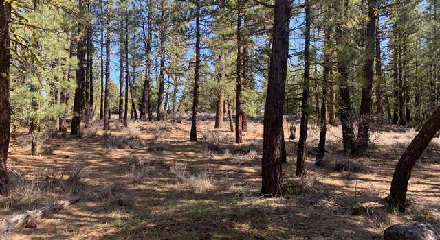 Photo of 7050 Sylvan Rd, Portola, CA 96122