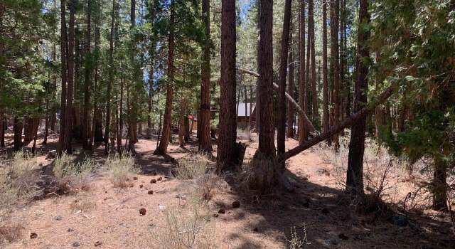 Photo of 737 Yeargin Dr, Portola, CA 96122