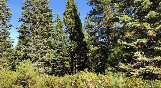 Photo of 89 Grand Fir Rd, Lake Almanor, CA 96137