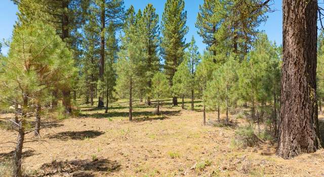 Photo of 1810 Valley Ranch Dr, Clio, CA 96106