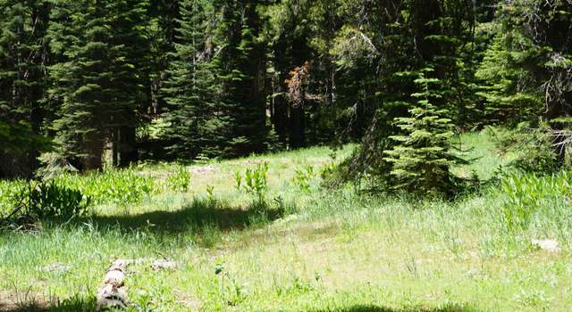 Photo of 1116 Highlands Rd, Bucks Lake, CA 95956