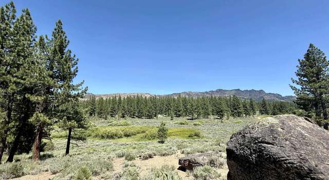 Photo of 4769 Dixie Valley Rd, Chilcoot, CA 96105
