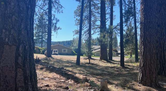 Photo of 425 Lundy Ln, Blairsden, CA 96103