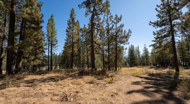 Photo of 109 Grizzly Way, Portola, CA 96122