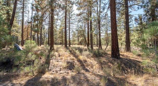 Photo of 184 Grizzly Way, Portola, CA 96122