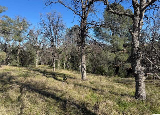 Property at 16380 Hillcrest Rd, Corning, CA 96021