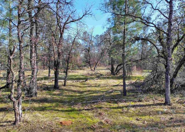 Property at Lot 2 Palm Ave, Happy Valley, CA 96007