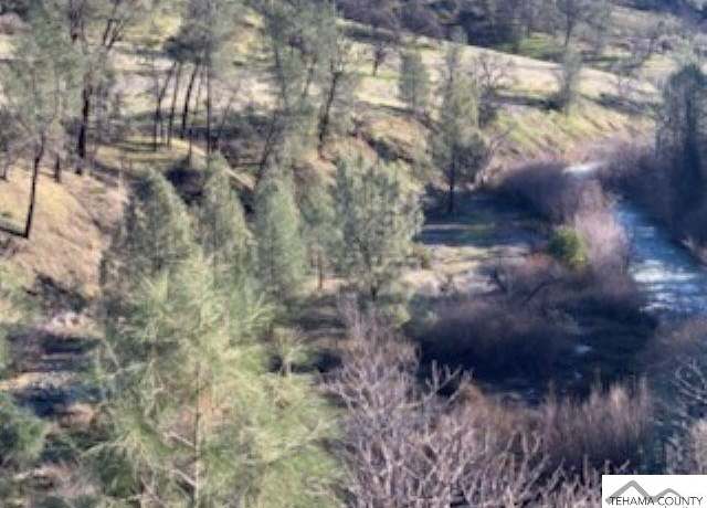 Property at 000 Hwy 36 W, Platina, CA 96076