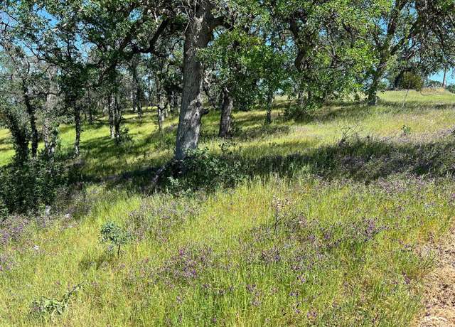 Property at 16298 Lariat Loop, Corning, CA 96021