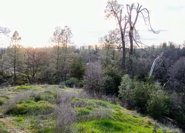 Property at 18675 Wilderness Dr, Cottonwood, CA 96022