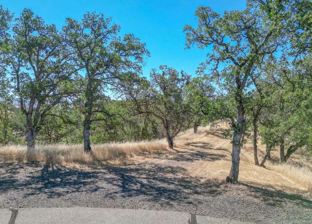 Property at 0 Wood Duck Pass, Red Bluff, CA 96080