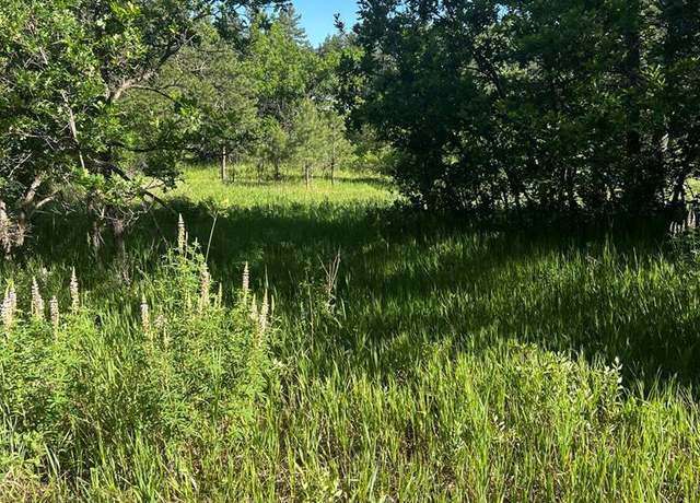 Property at TBD Pine Dr, Beulah, CO 81023