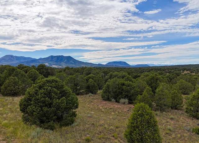 Property at Lot 79 Comanche, Walsenburg, CO 81089