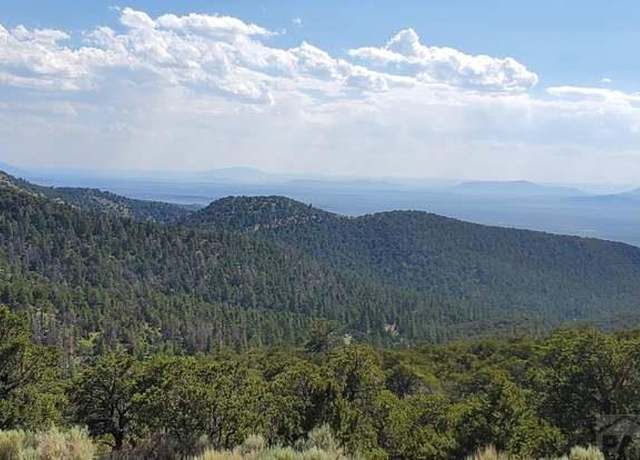 Property at 5119 Adelaida Rd, Fort Garland, CO 81133